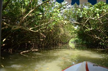 Poovar, Backwater Cruise,_DSC_8696_H600